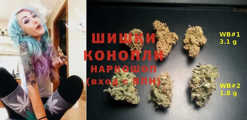 нарко площадка формула  Богданович  Шишки марихуана Ganja 